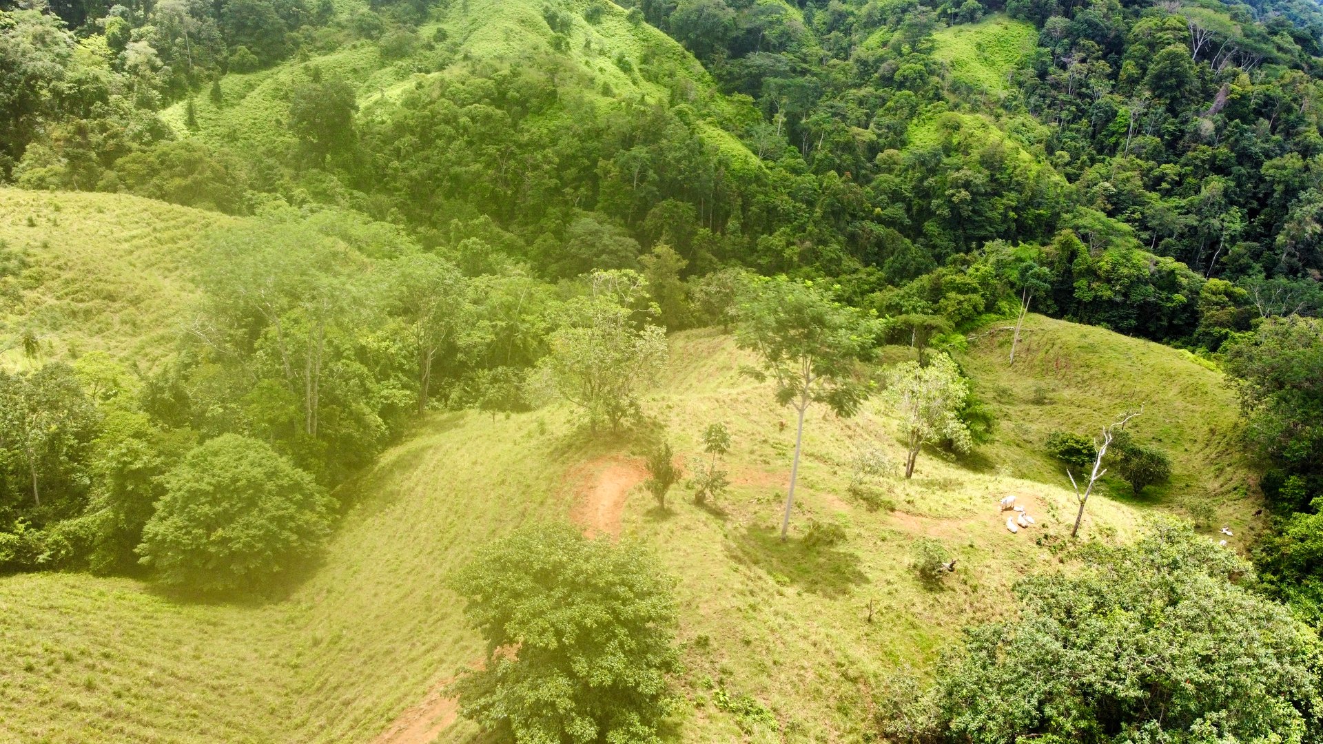 Spectacular 70 Acre Multiple Waterfall Property with Dramatic Views Near Ojochal