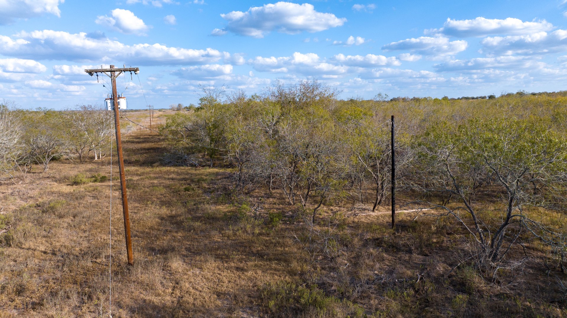 Gonzales County | 104+/- Acres