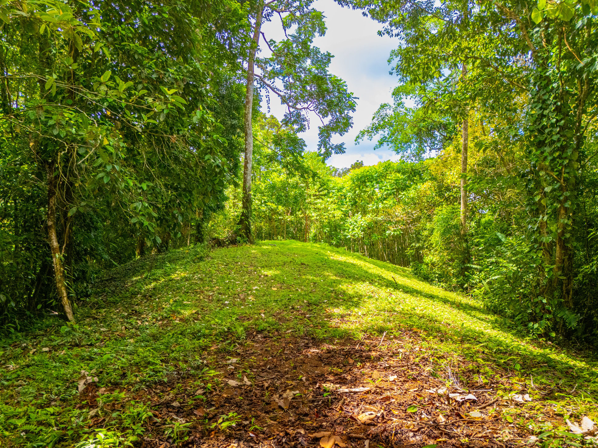 Tropical Paradise in Cascada Sándalo, Tres Ríos Ocean & Mountain Views | Gated Community | Abundant Nature