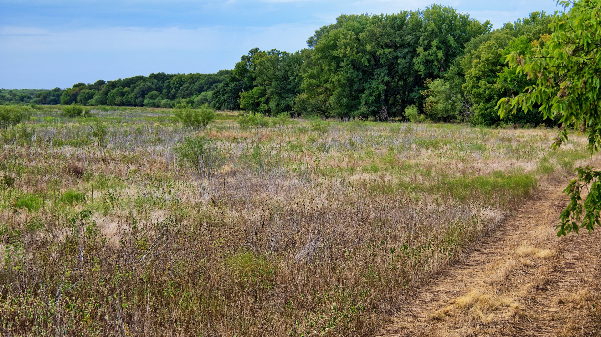 Cross Creek Ranch 
