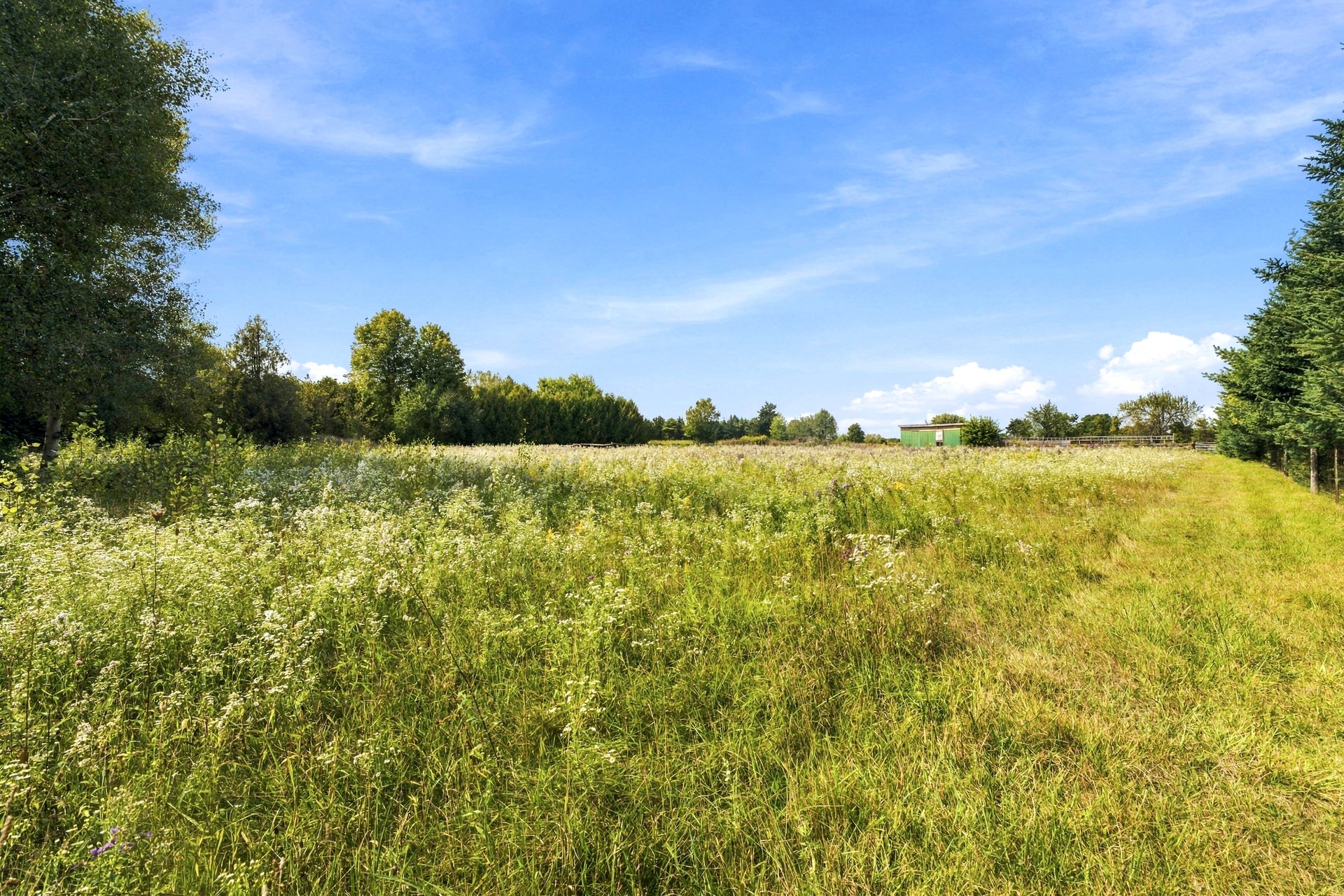 5 Acres of Country Living