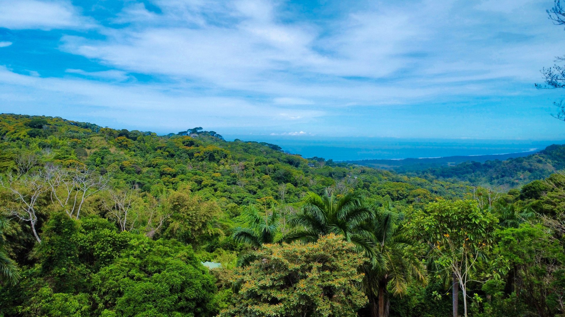 3.6 Acre Ocean View, Near the Beach & Cool Mountain Elevation