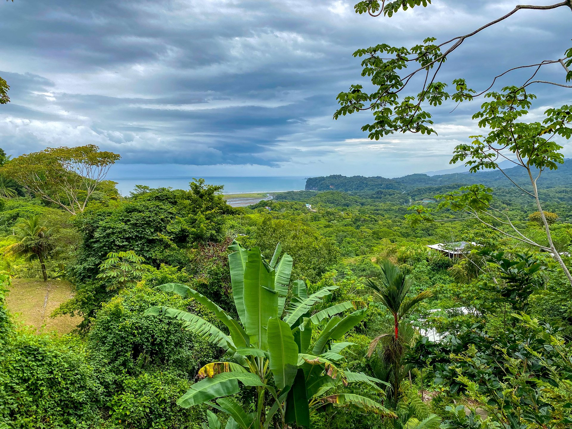 Ocean View Home for Sale in Ojochal with Pool & Jungle Views