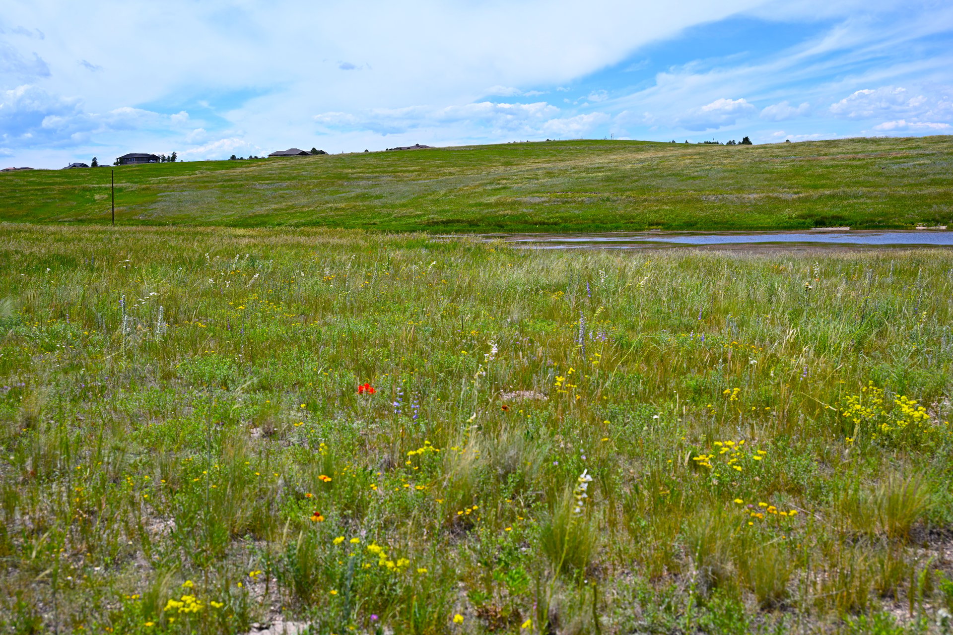 Lot 2 Steppler Road