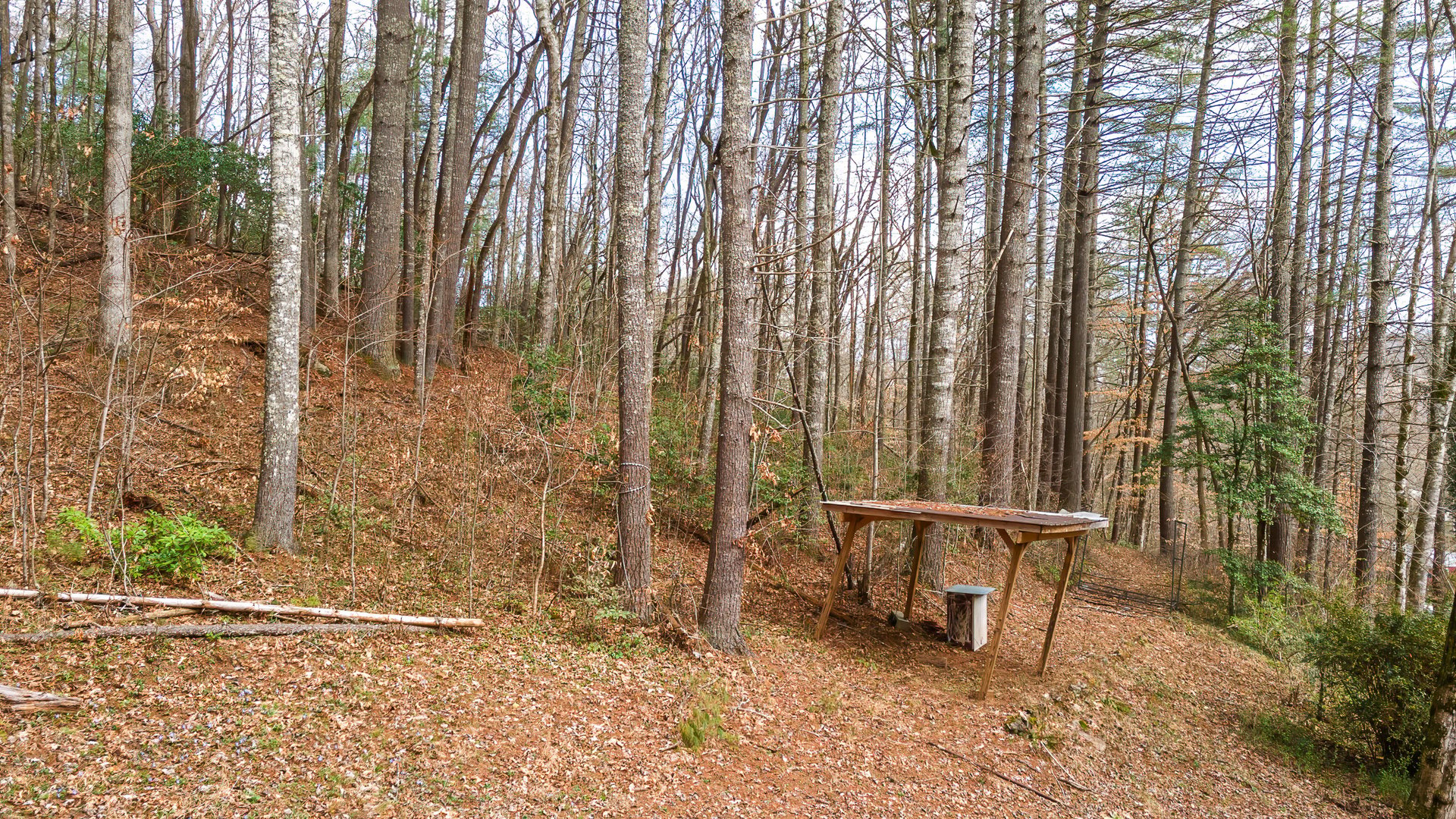 2035 Wayah Rd.