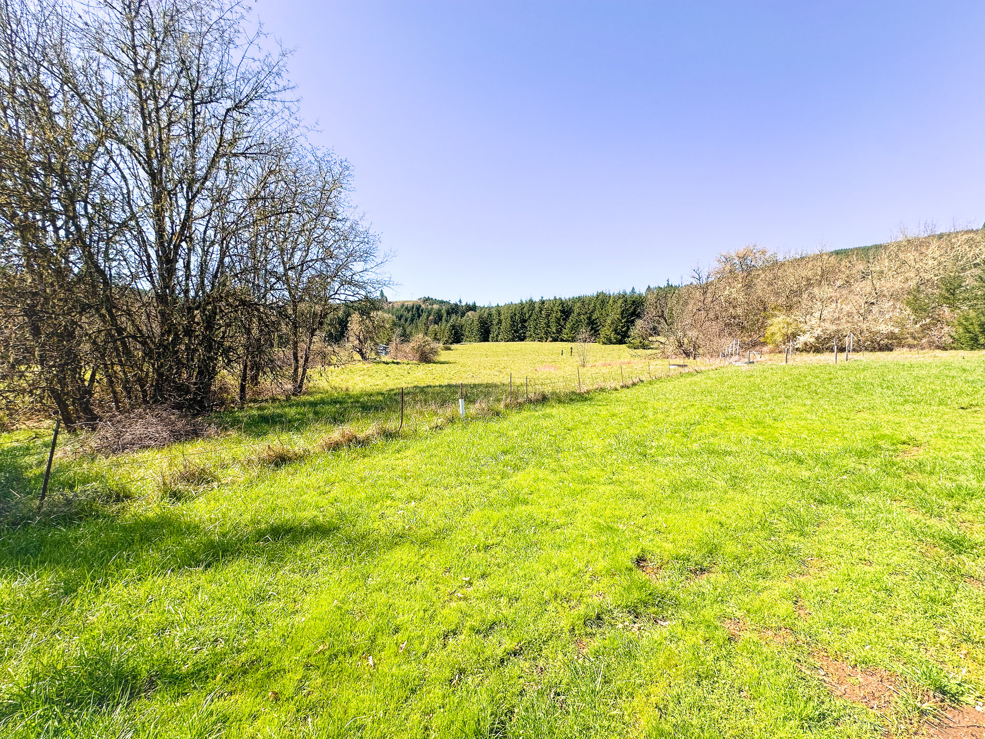 HARRIS FARM & FOREST
