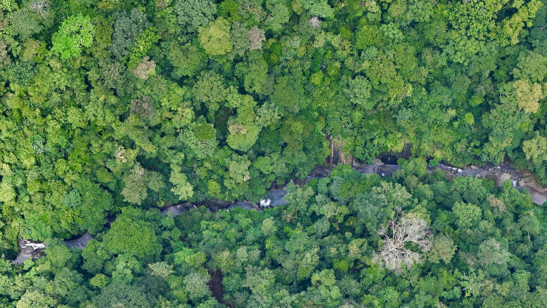 Uvita Development Farm - 45.4 Acres Estate