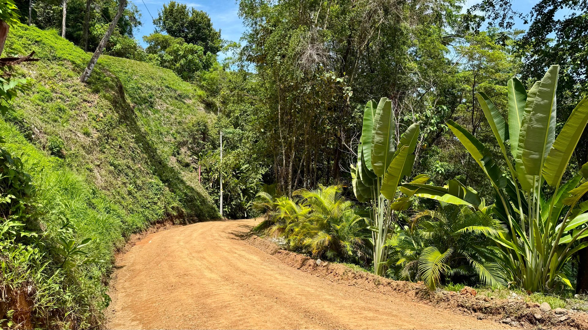Exclusive and Unique Ocean Views lot in the Hills of Uvita!