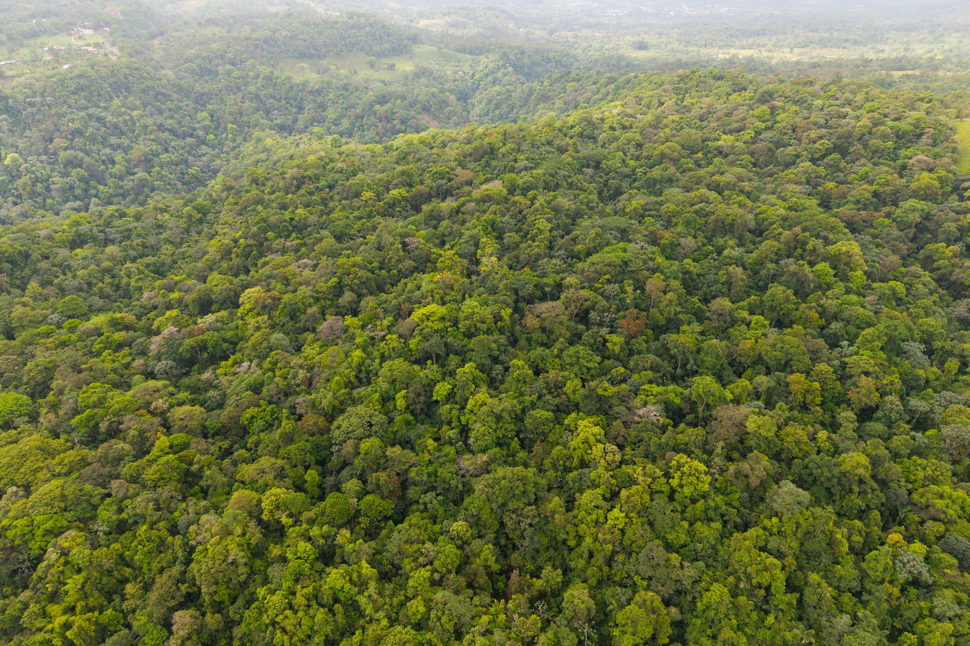 Finca Gran Bijagua | Breathtaking 10-Hectare Mountain Sanctuary in Bijagua, Costa Rica