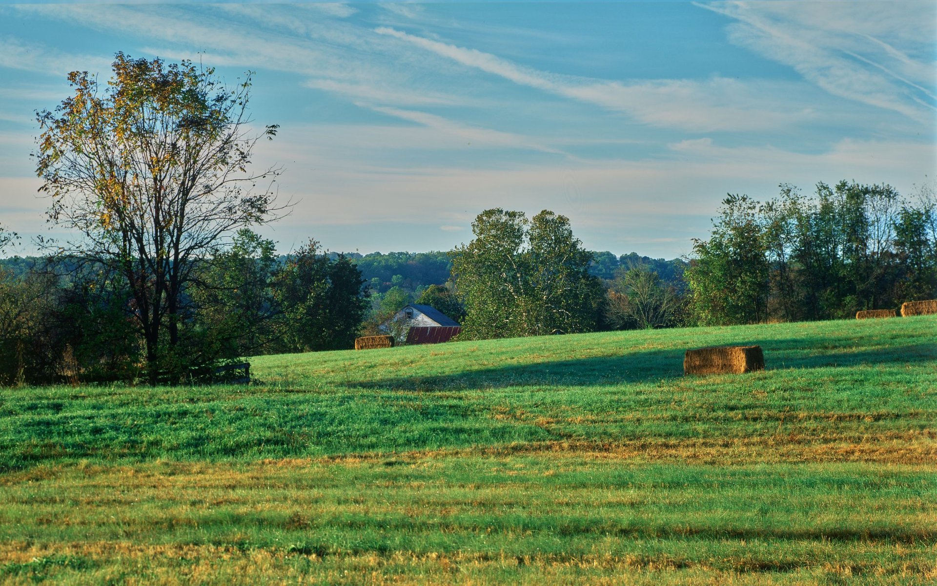 Explore Pennsylvania Neighborhoods | Alexander Zay