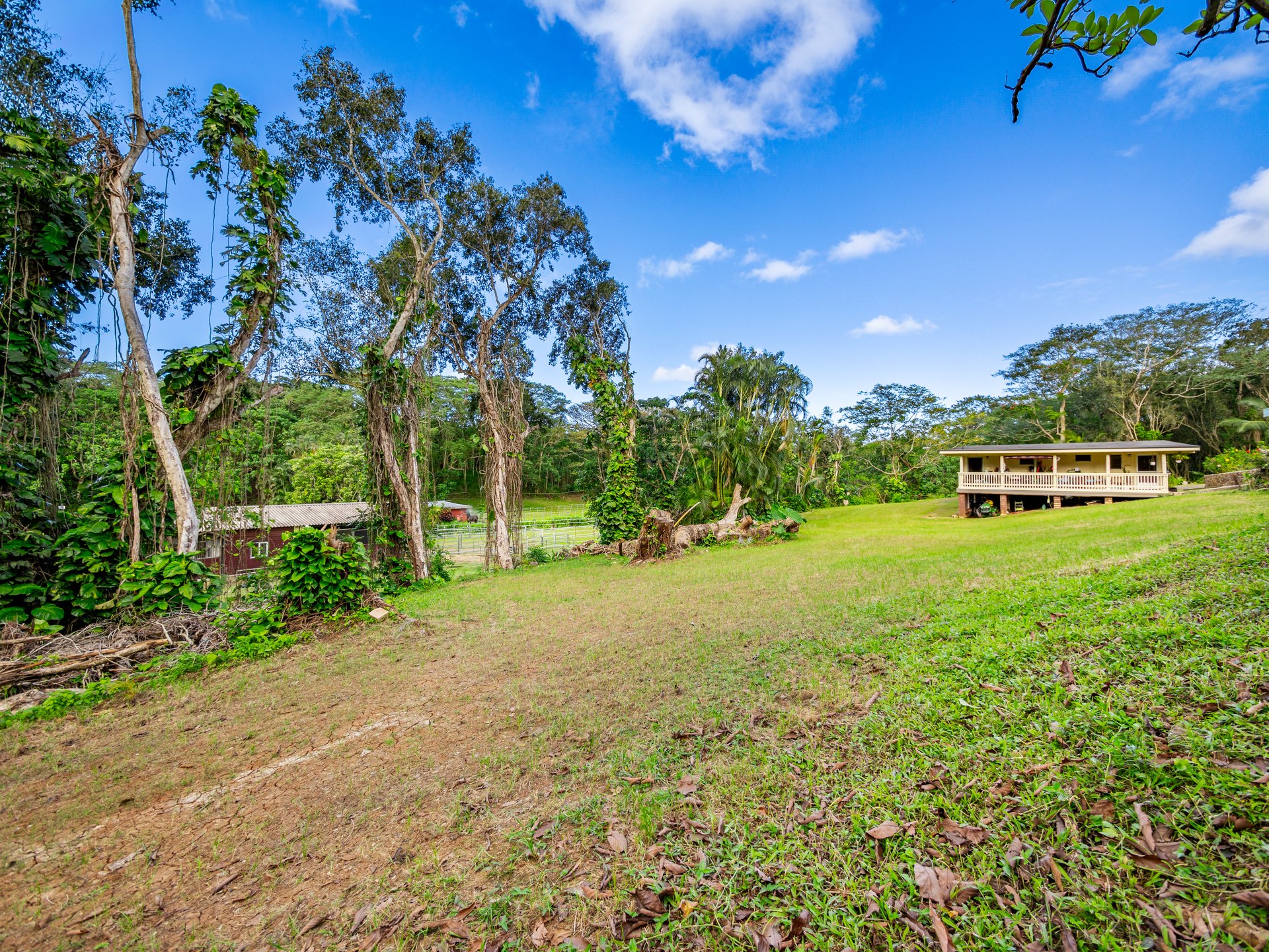 969 Auloa Road