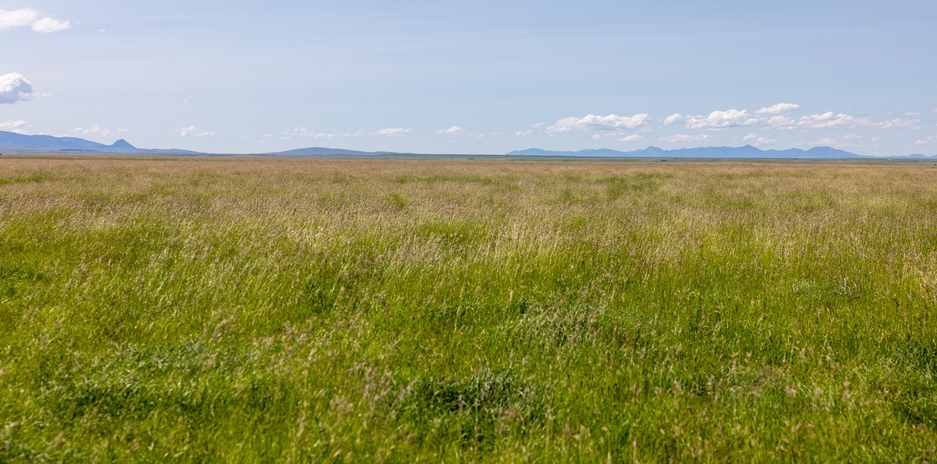 Hauck Coulee Ranch