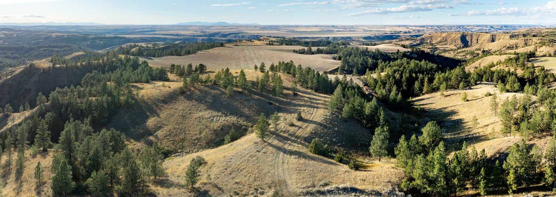 Salt Creek Ranch