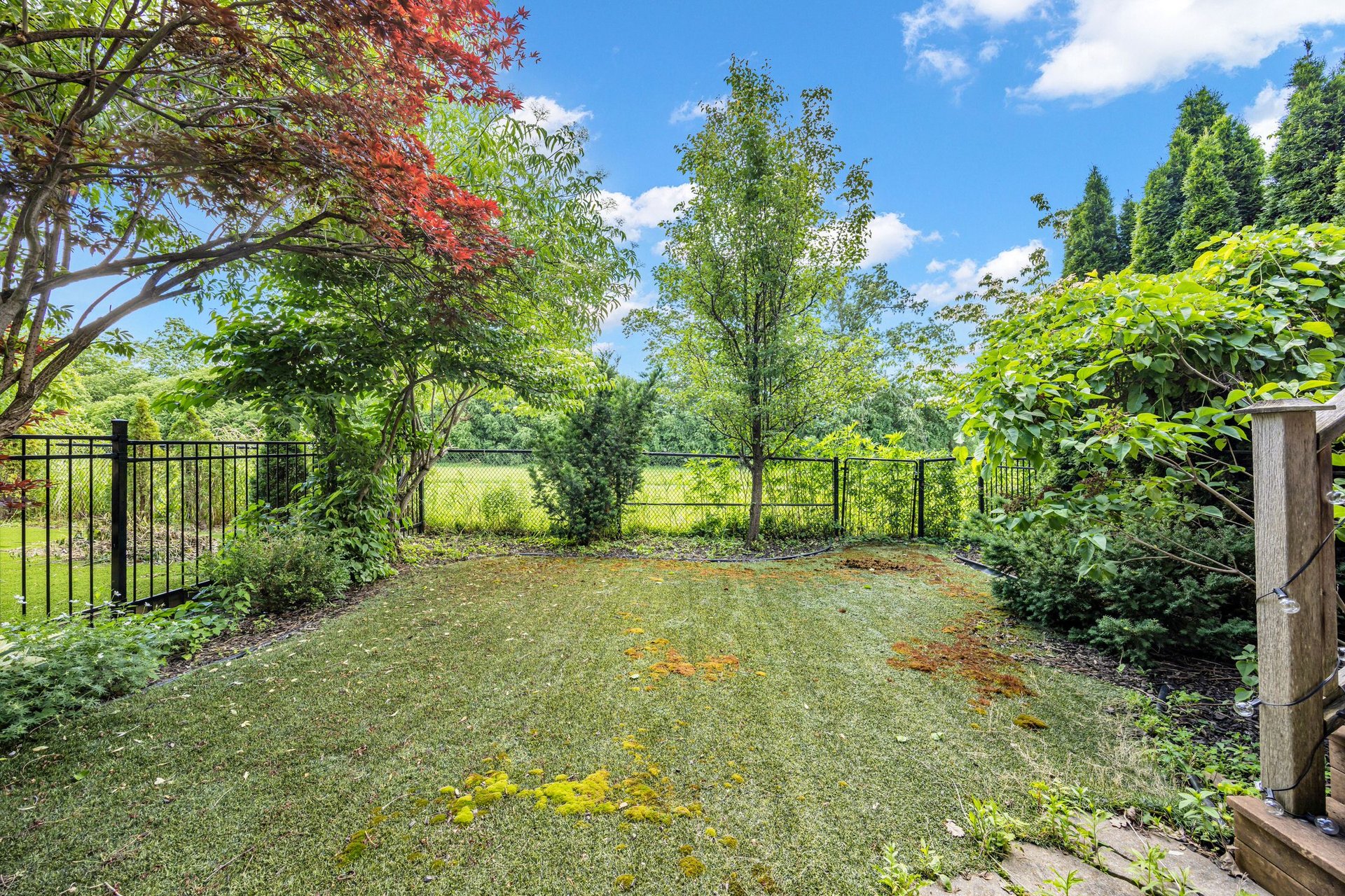 1116 Woodington Lane