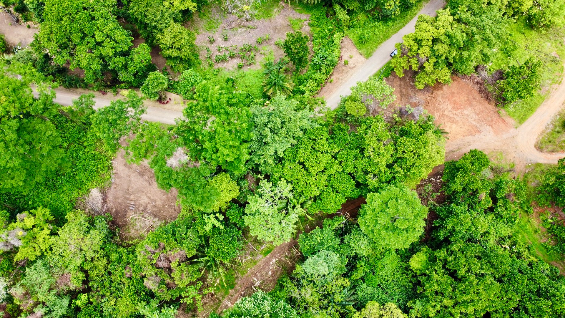 Ready-to-Build Land in San Antonio de Damas: 2,6-Acre with Terraces & Road Frontage