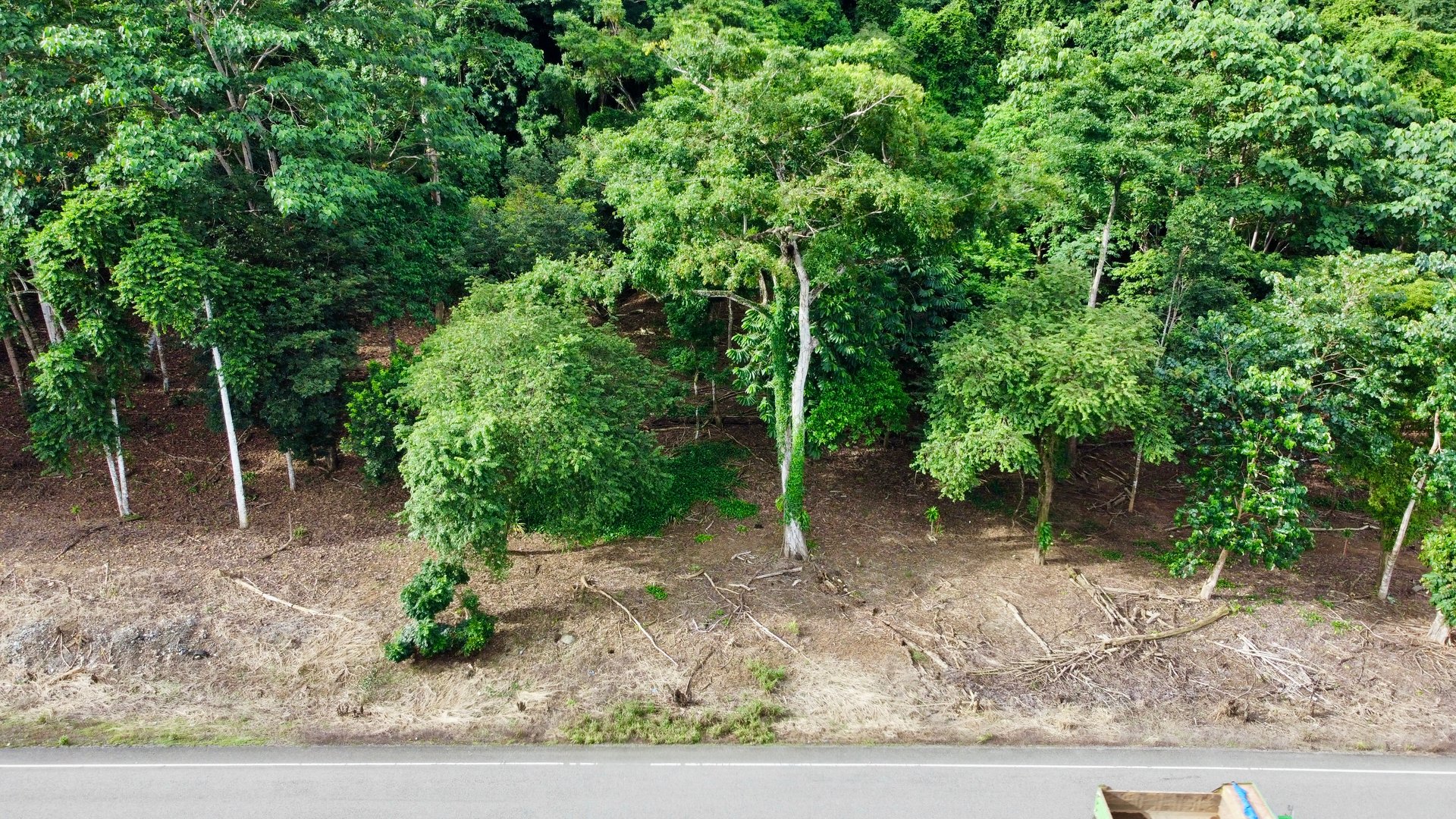 Tawal Lots for Sale – Prime Commercial & Residential Opportunity