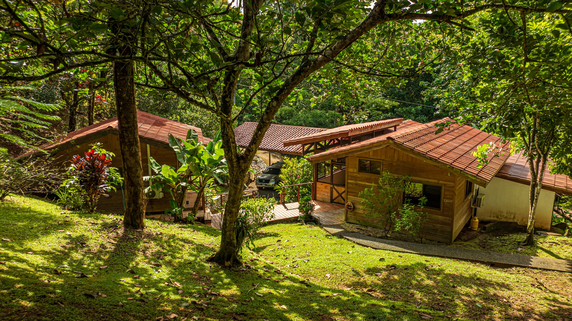 A Jungle House Built of Wood & River Dreams