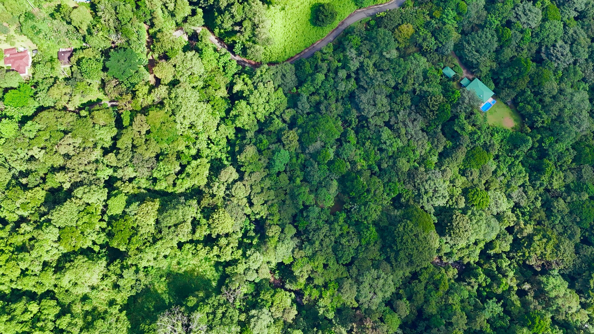 Selva Vista Estate – 5.9 Acres of Wild Beauty