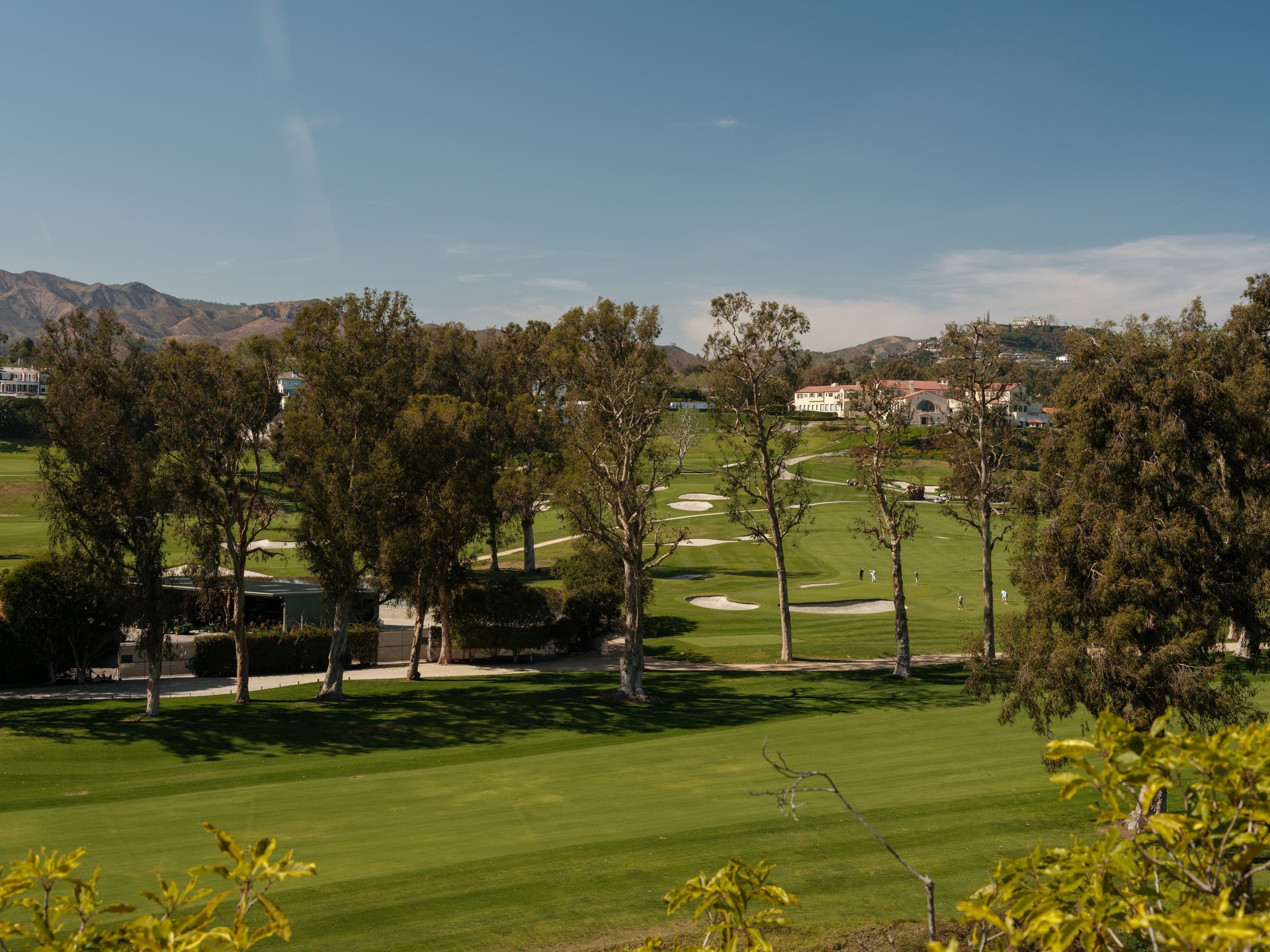 1911 La Mesa Dr