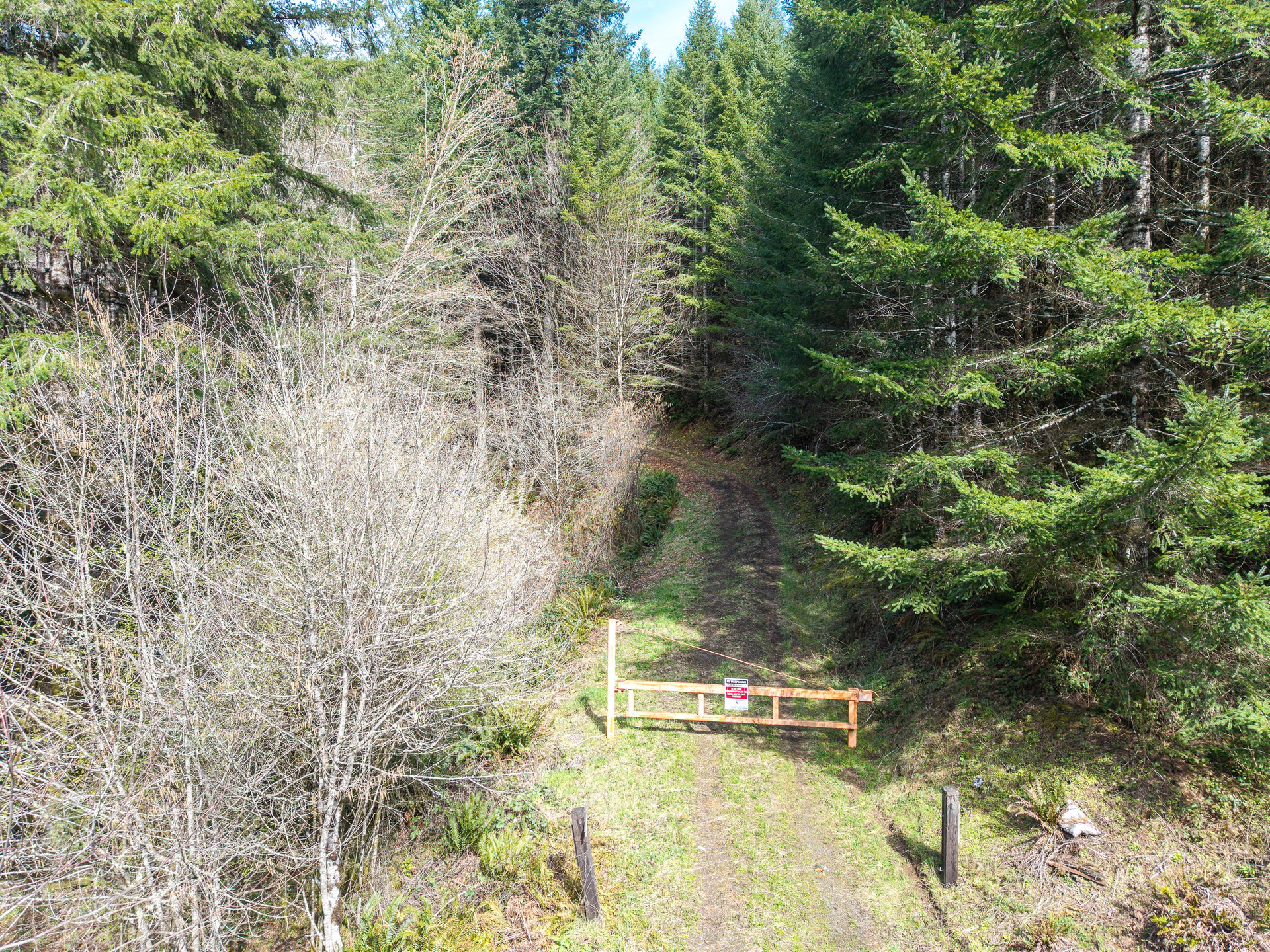 LITTLE ELK TREEFARM
