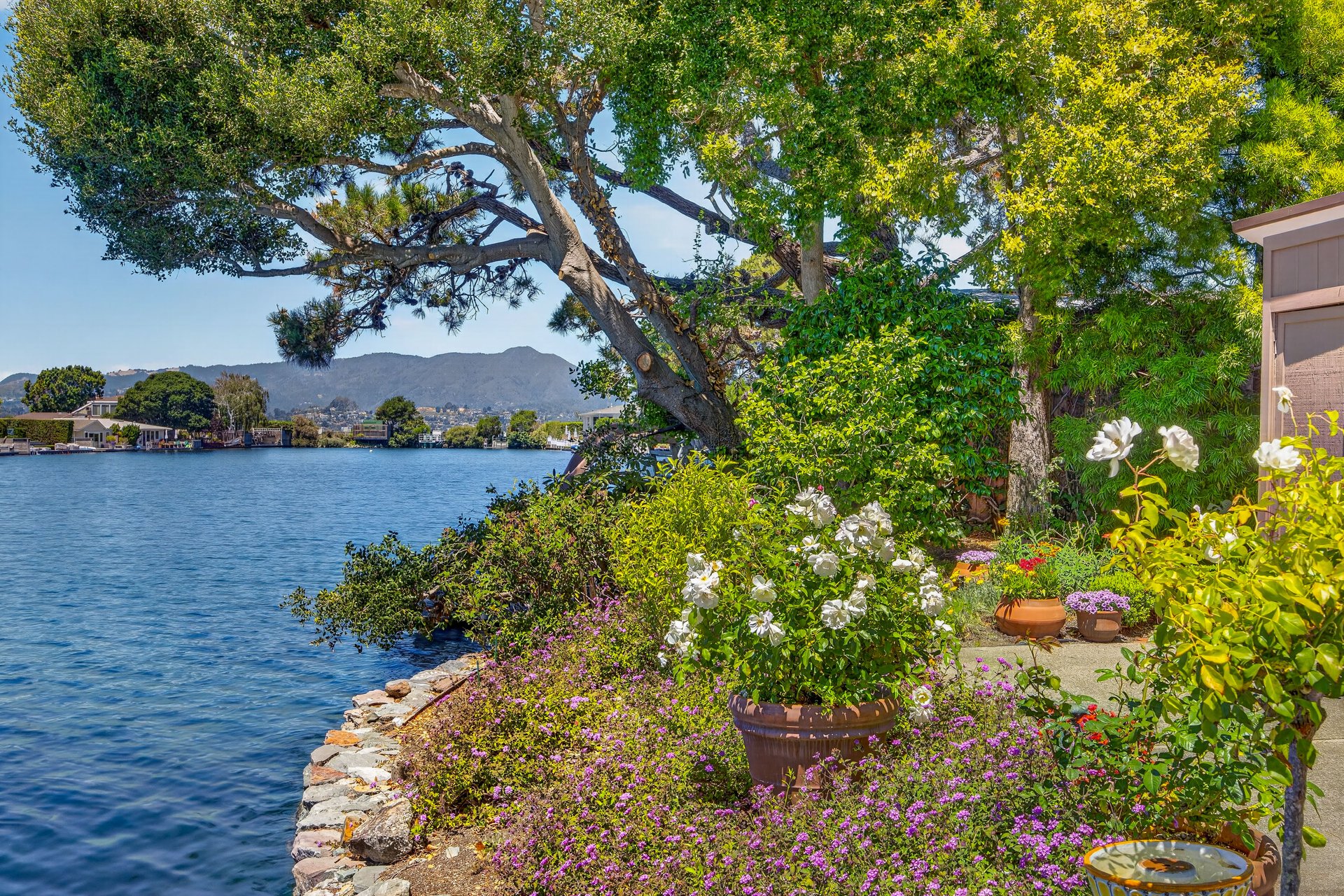 Vacation at Home on the Belvedere Lagoon