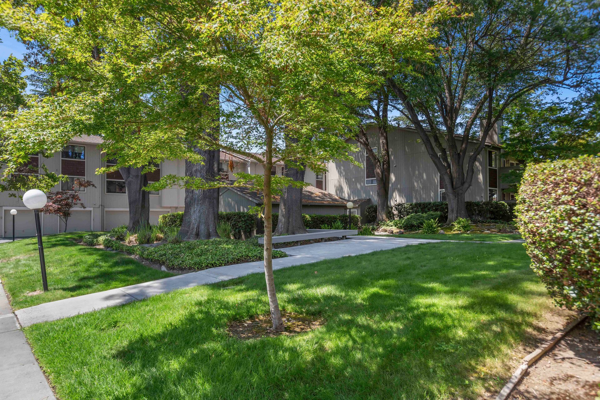 3852 Panda Place