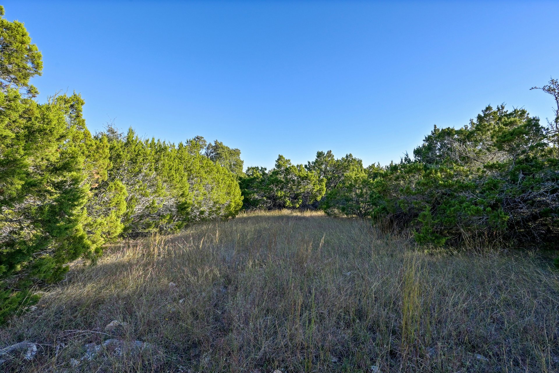 Madrone Canyon Lot 5A 