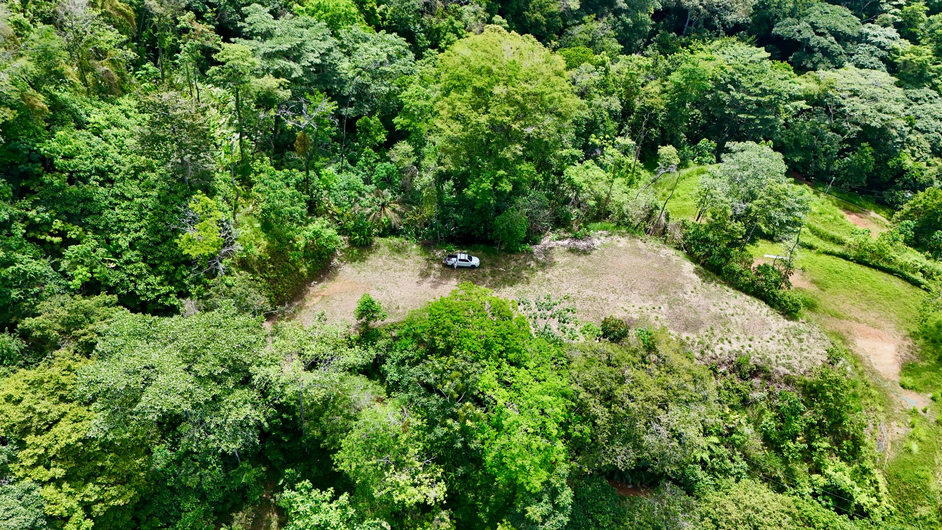 Las Terrazas Dream Estate | Spectacular Ocean & Mountain Views with a Waterfall 