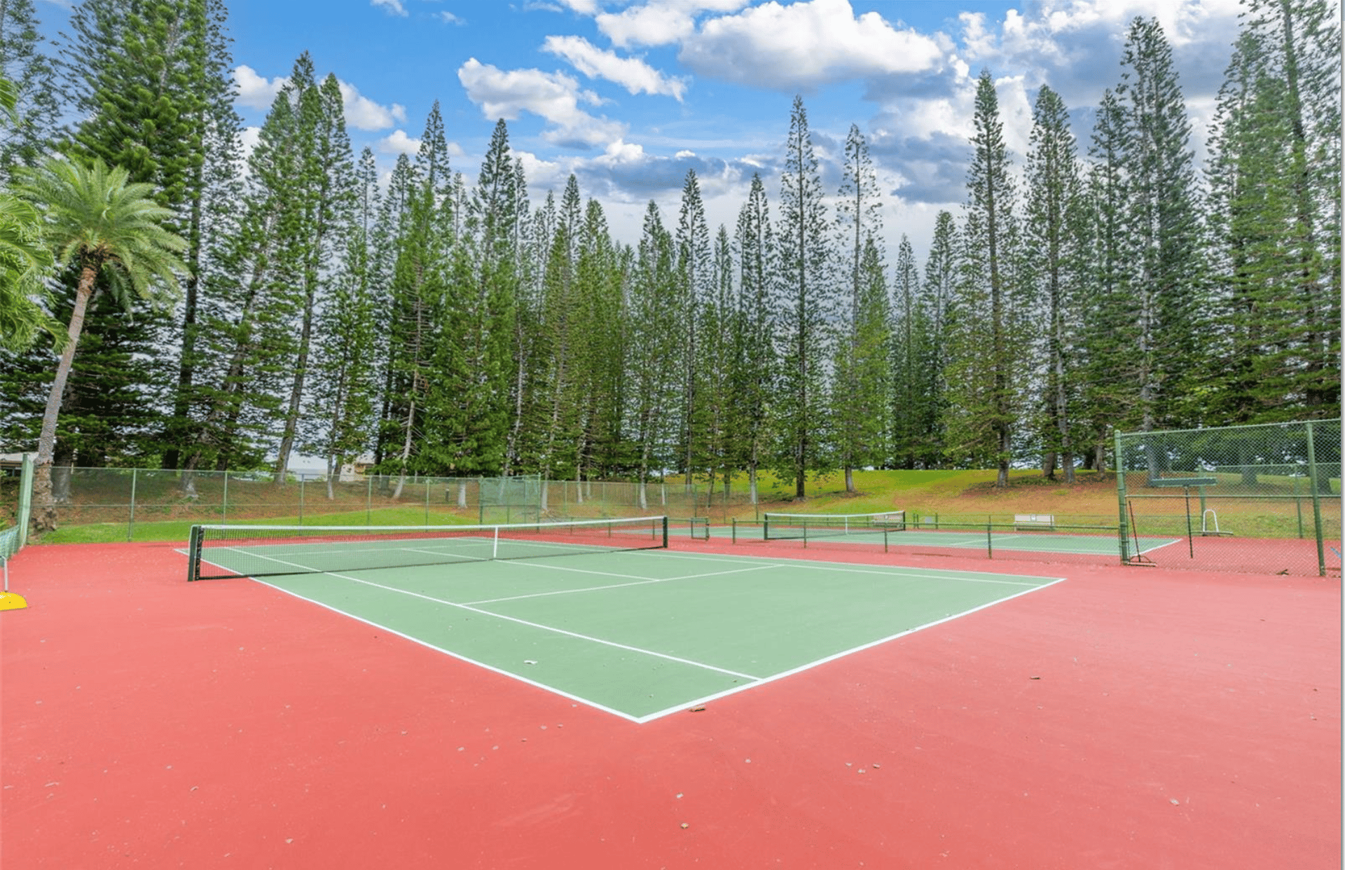 Puu Ali'i | Kāne'ohe 