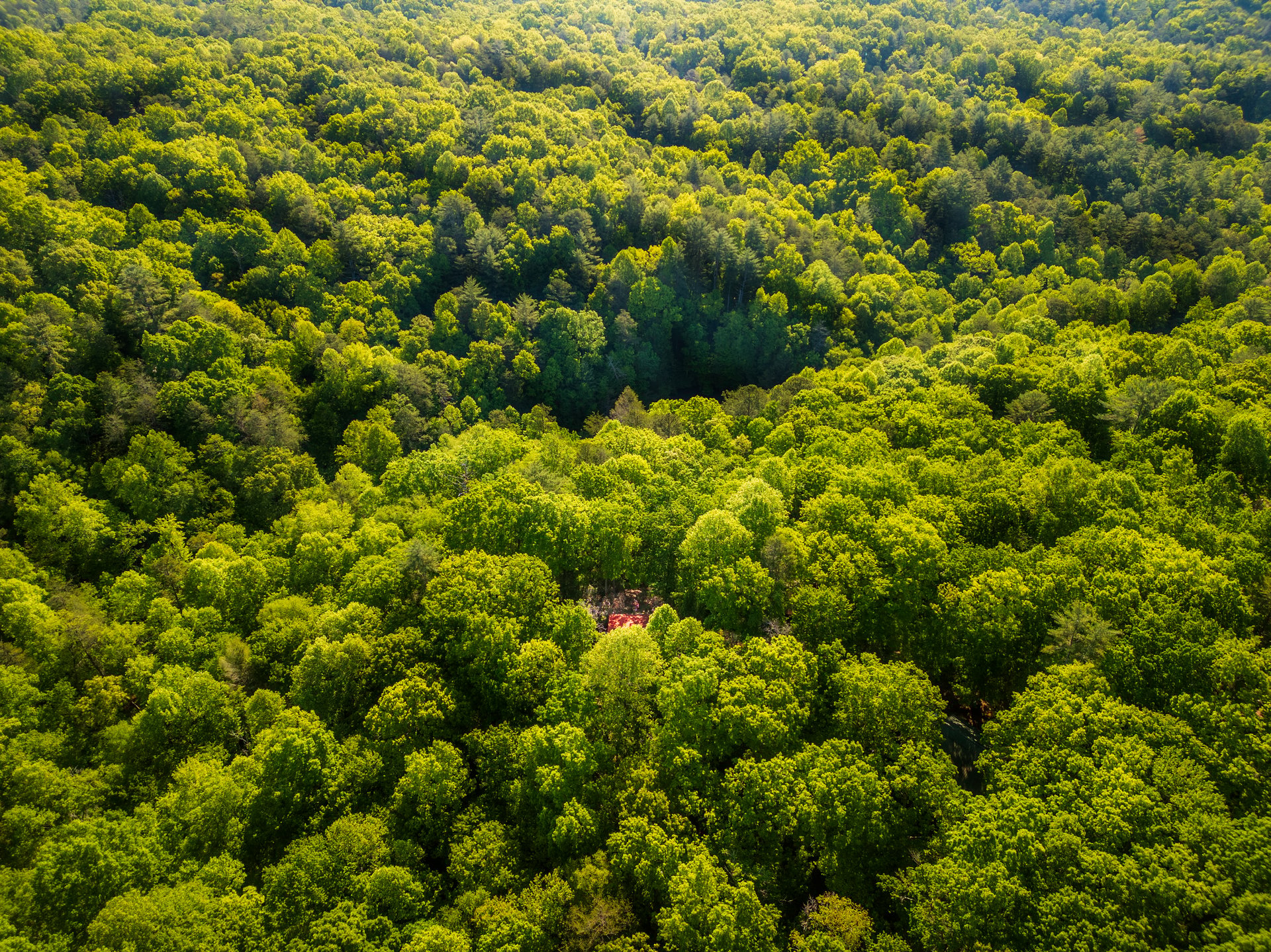 90 Holloway Circle, Blue Ridge, GA 30513