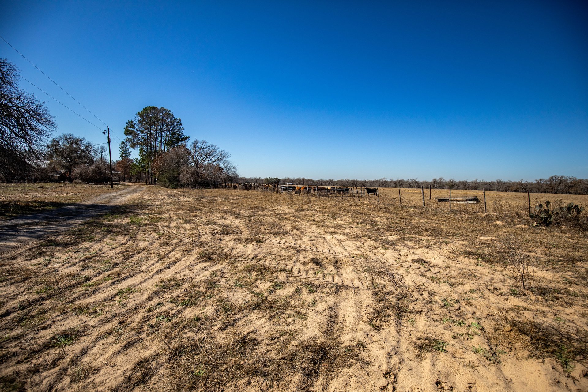 Whispering Pines Floresville Ranch | 298± Acres | Wilson County