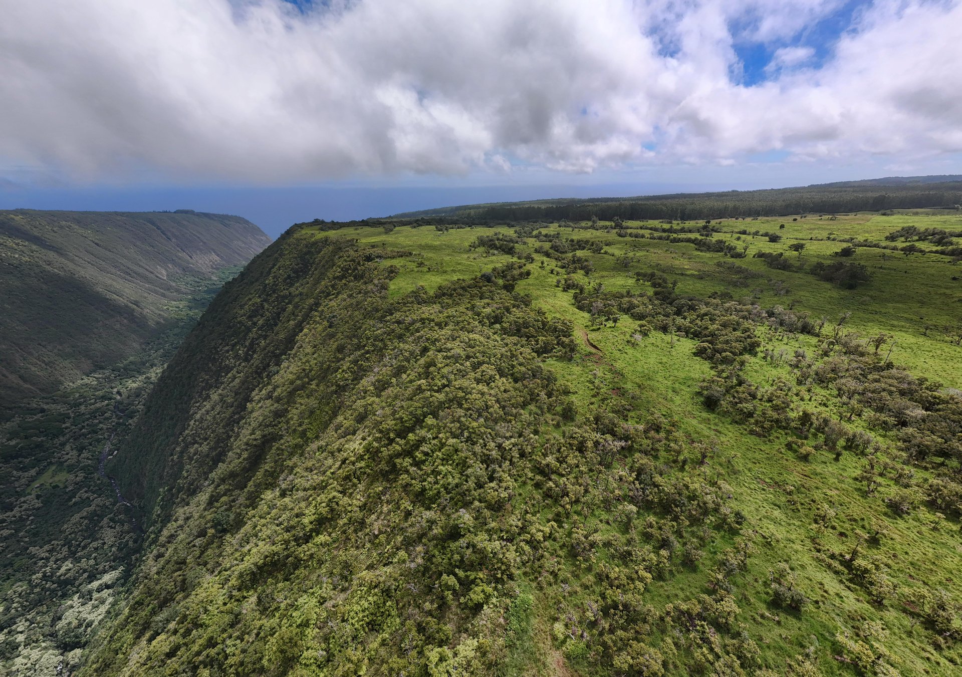 Waipi'o Valley Reserve