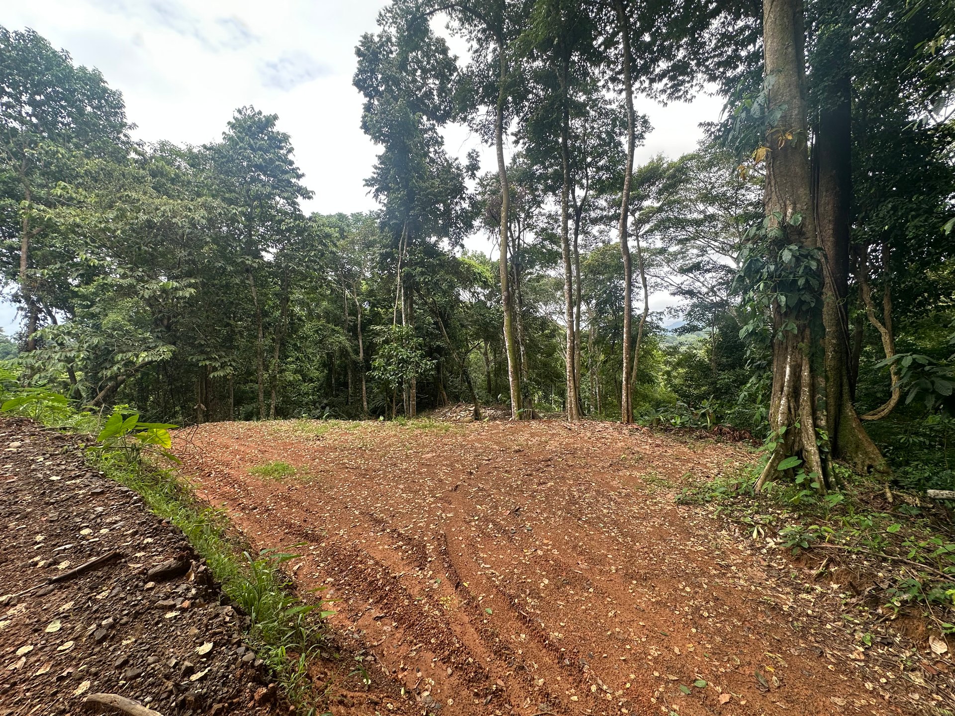 Ocean View Lot in Paradise Breezes, Hatillo - Ready to build
