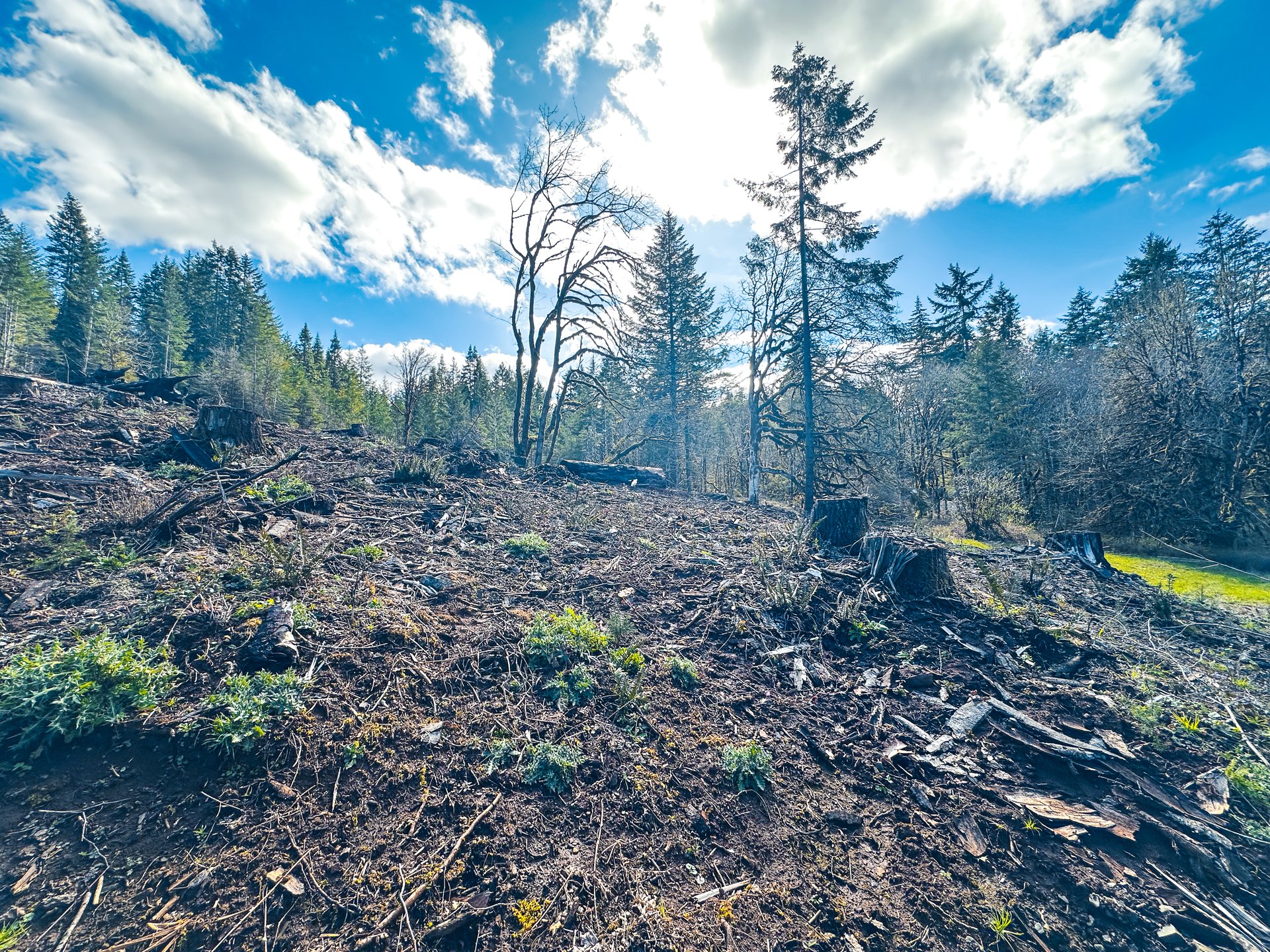 Sharewater Homesite