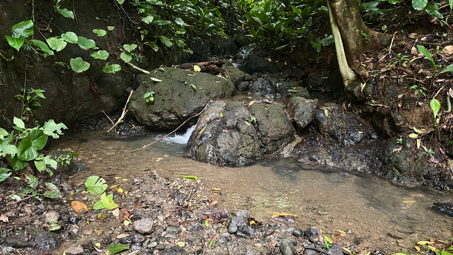 Unique property with creek and waterfall in lush jungle