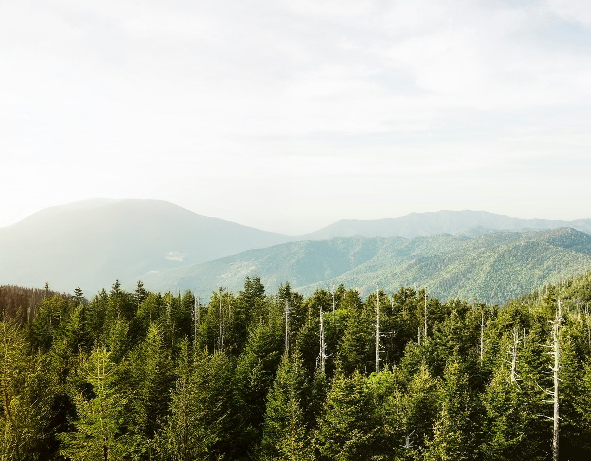 Stephanie Sainz, Keller Williams Realty