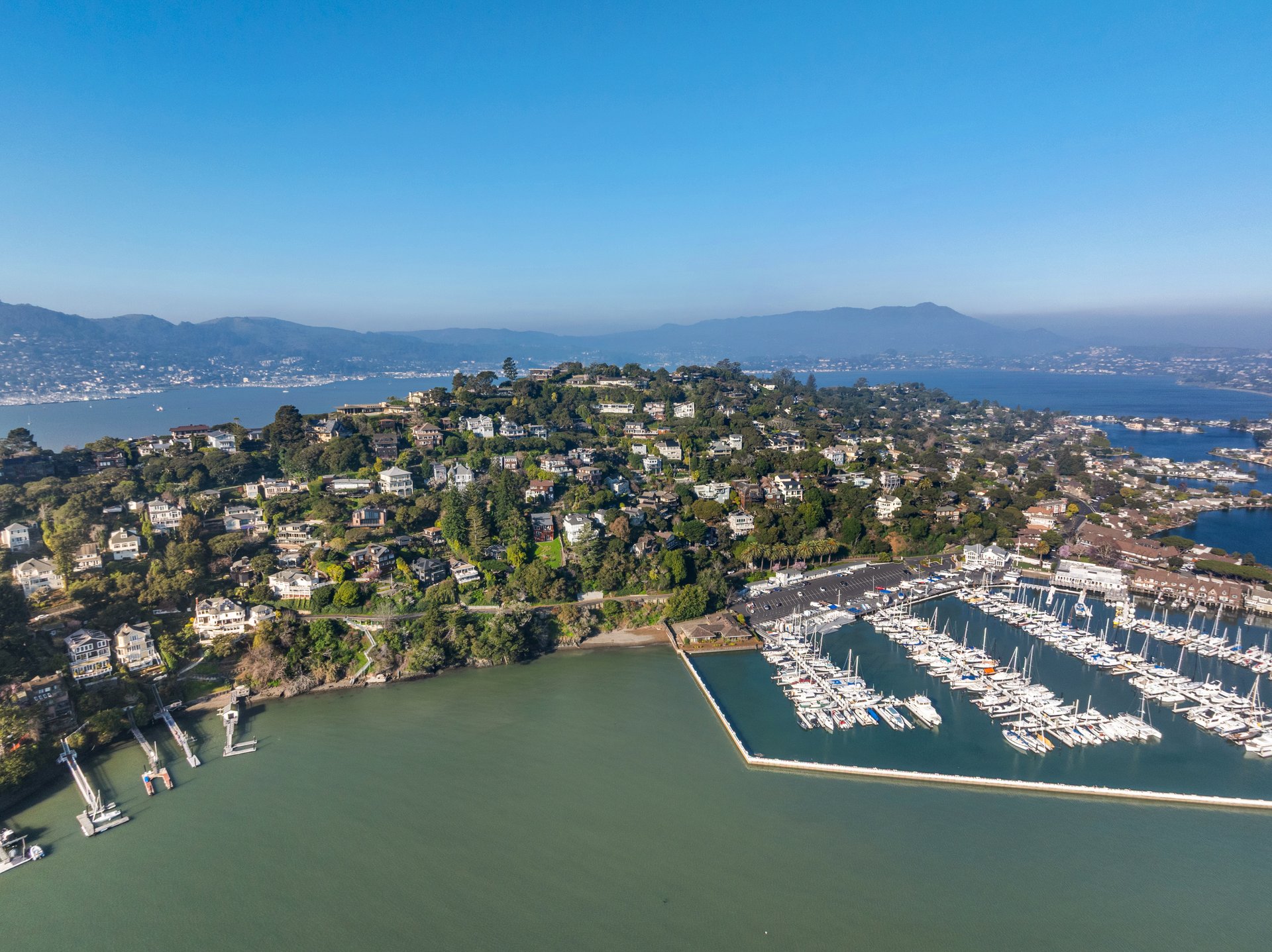 Picturesque Bay Views on Belvedere Island