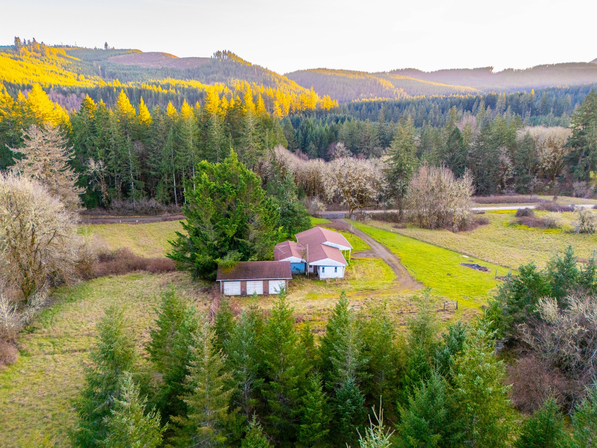 HARRIS FARM & FOREST