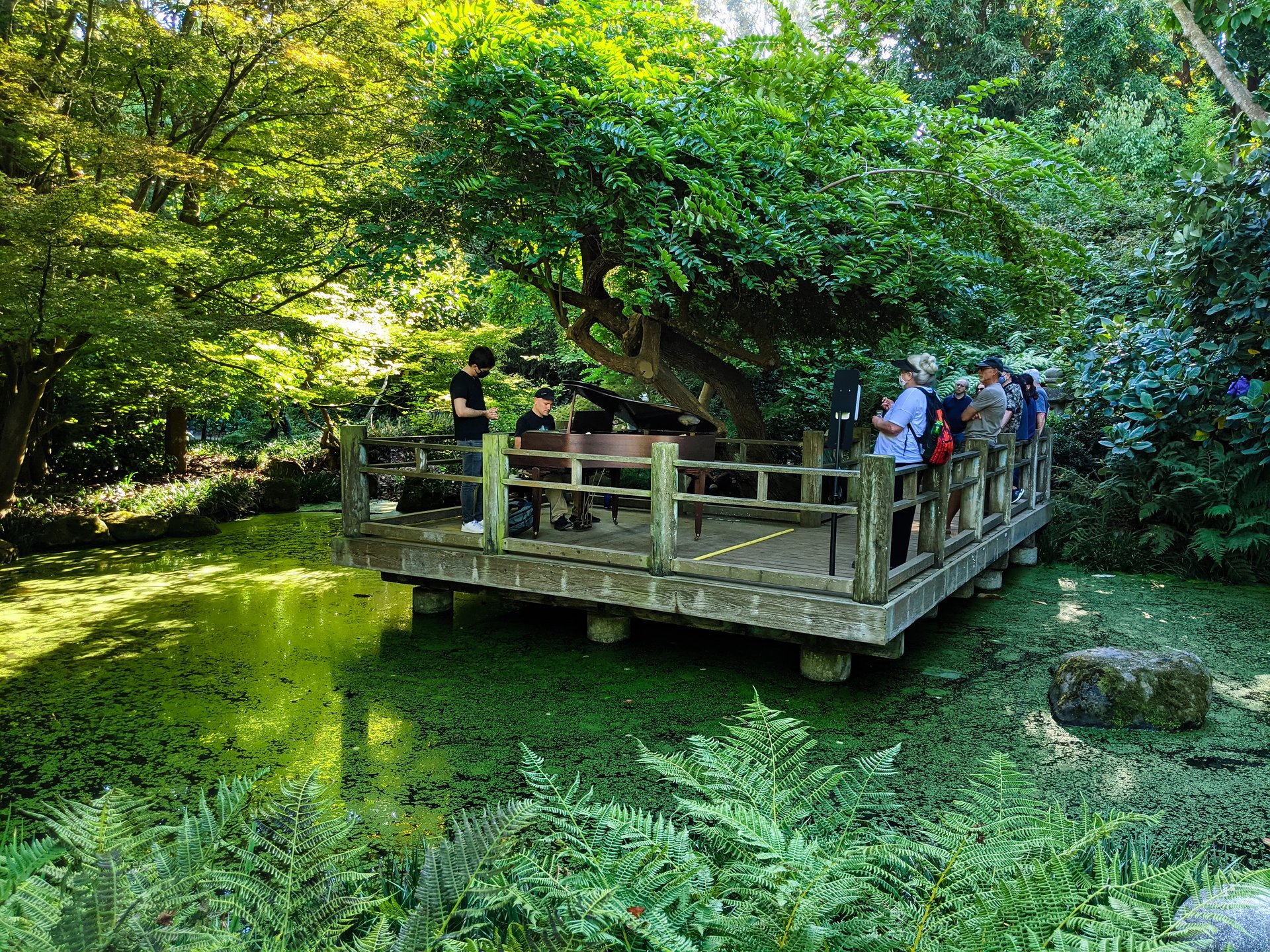 Piano performance in Golden Gate Park Botanical Garden