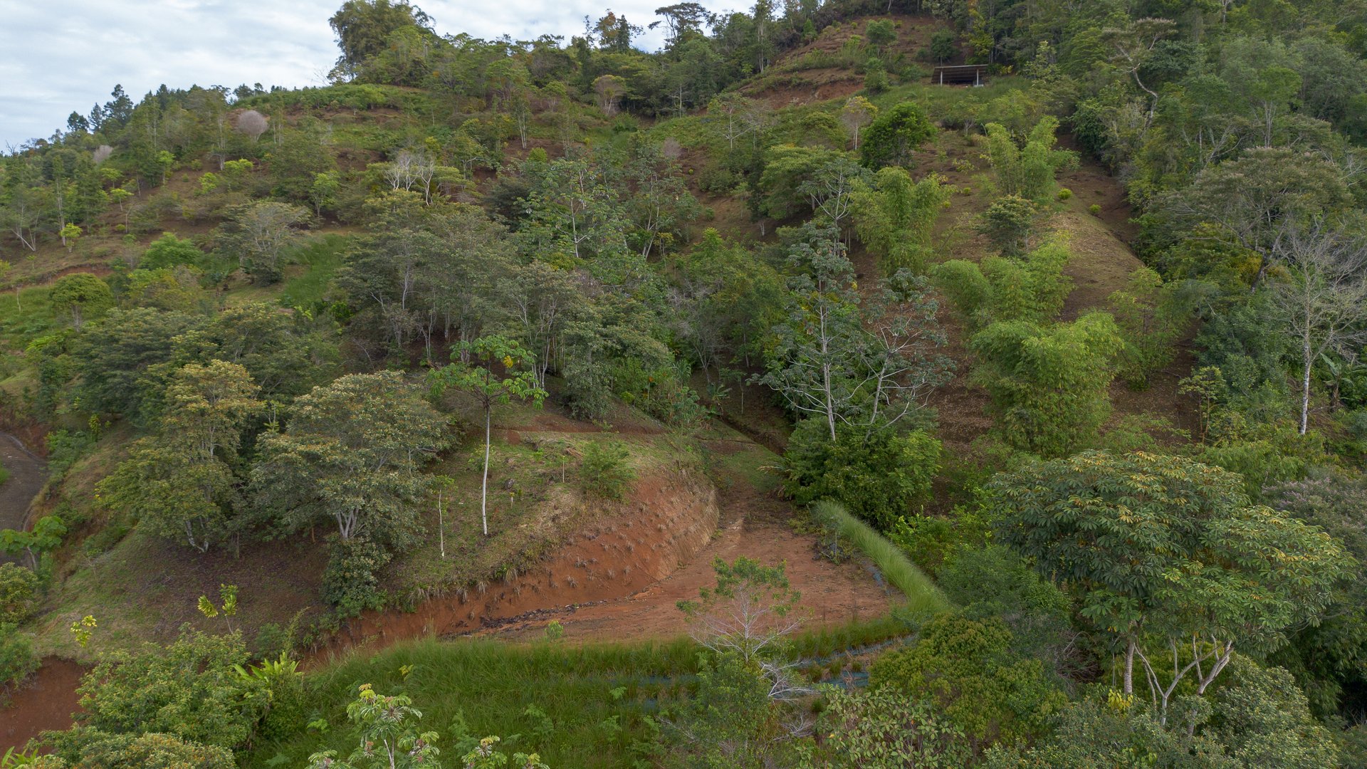 10.21 Acres with Views & Plantels – Pérez Zeledón