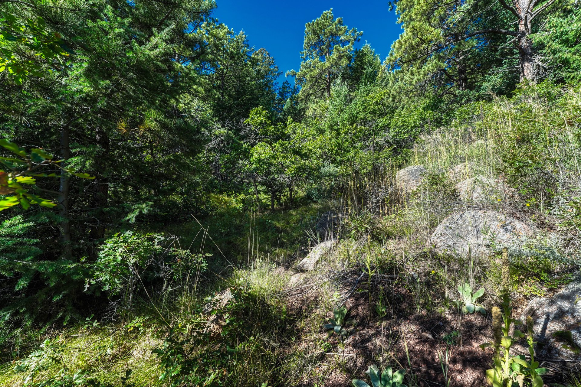 00 Columbine Road