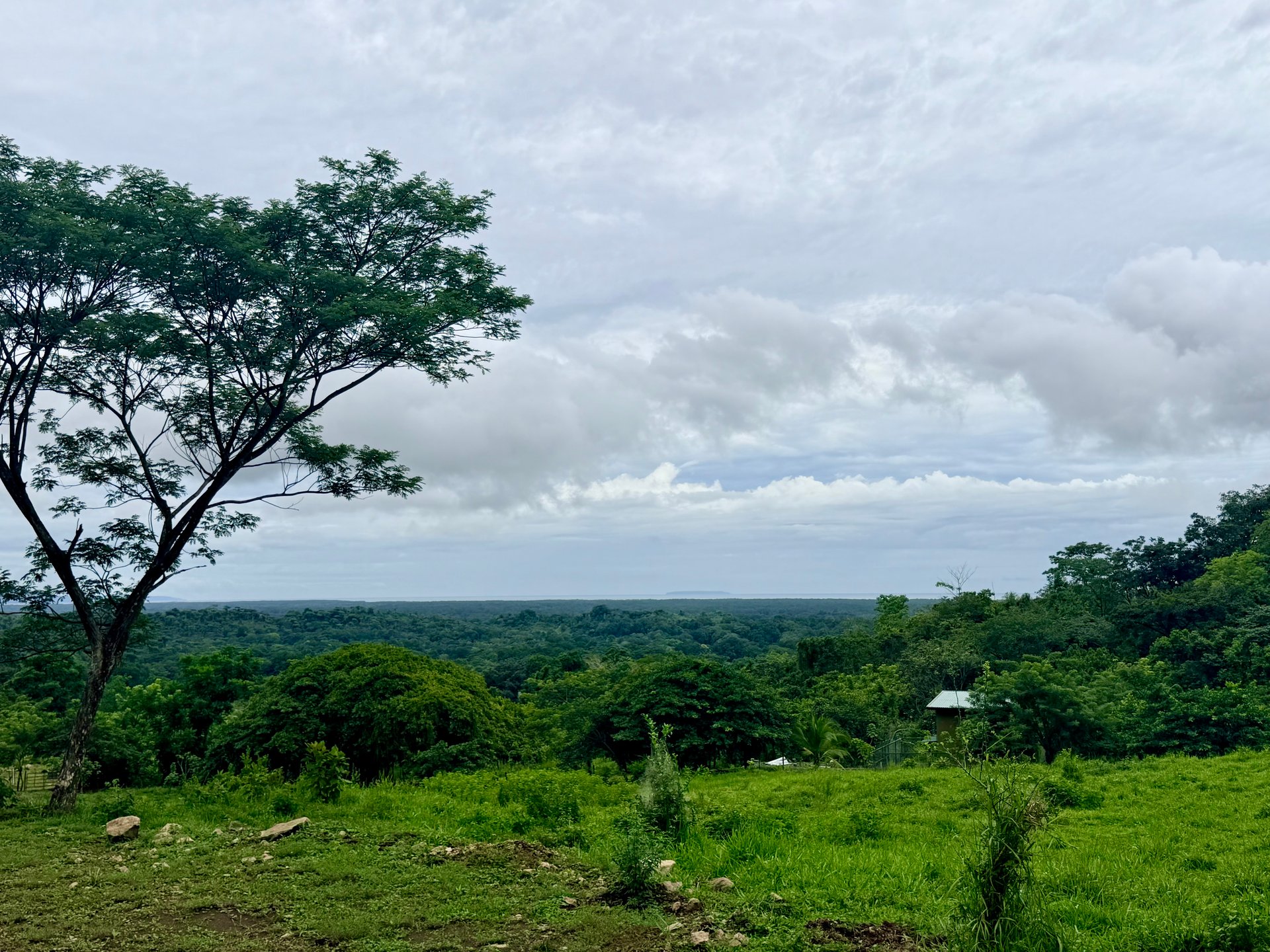 Ocean View Sanctuary in San Buenas – 4.94 Acres of Pastures & Easy Accessaccess