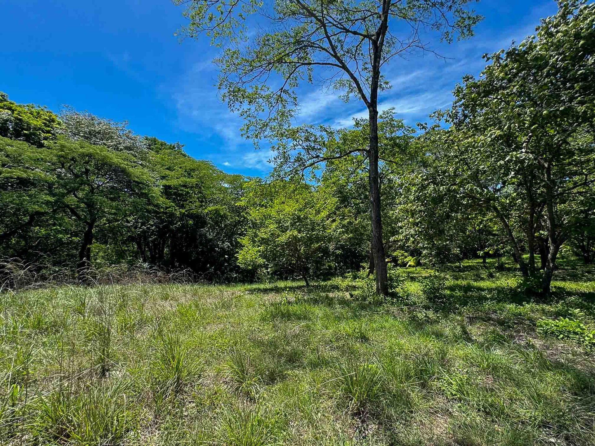 Acreage Estate Lot | 7,128 m² Buildable Property Near Playa Avellanas