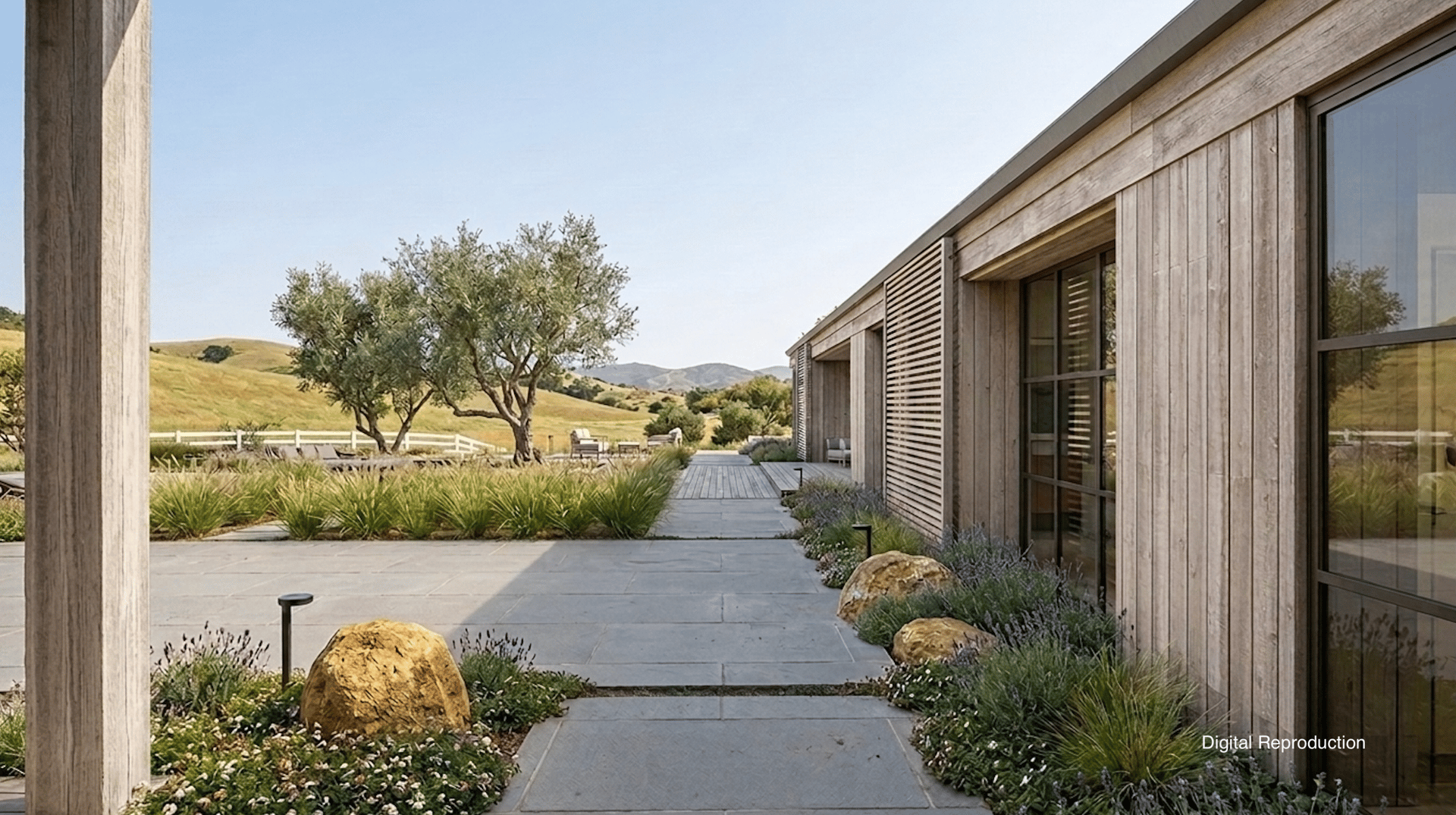 The Vineyard Estates | Chardonnay