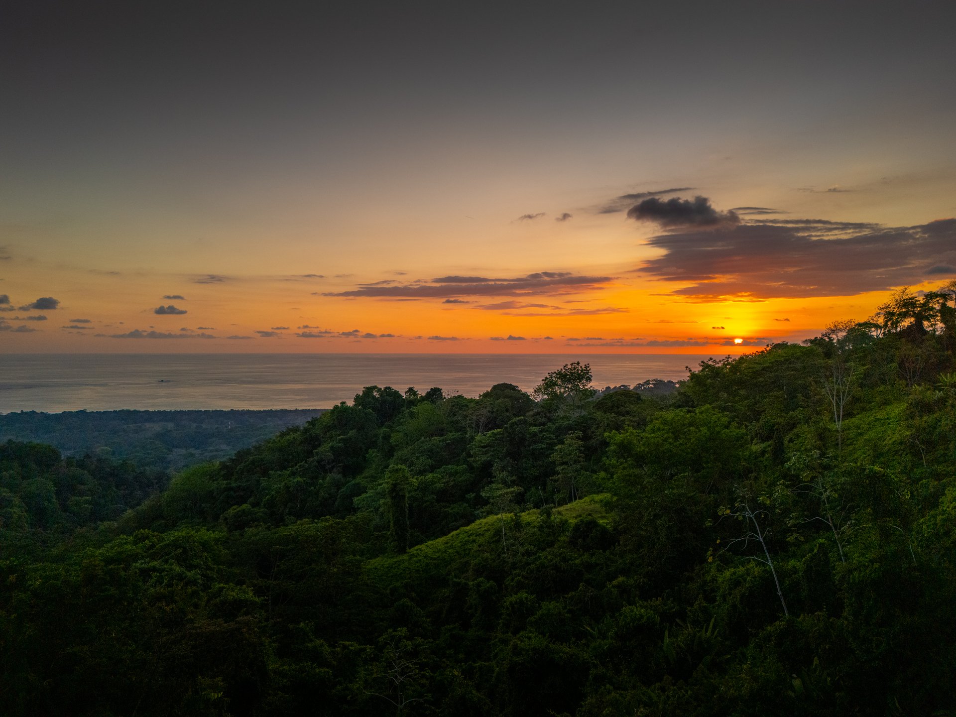Private Oceanview Sanctuary Above Uvita's Iconic Whales Tail, 3 Bed, 3 Bath  