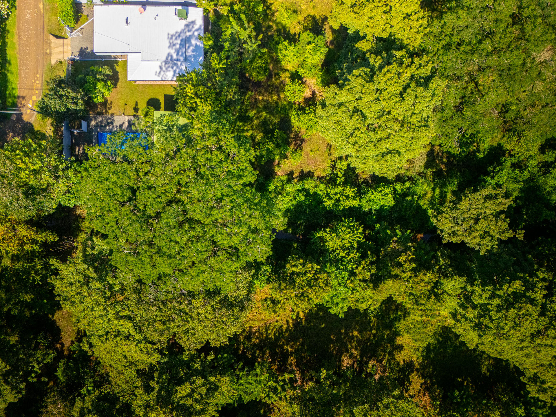 3-Bedroom Home on a Double Lot with Large Pool Backing to Jungle
