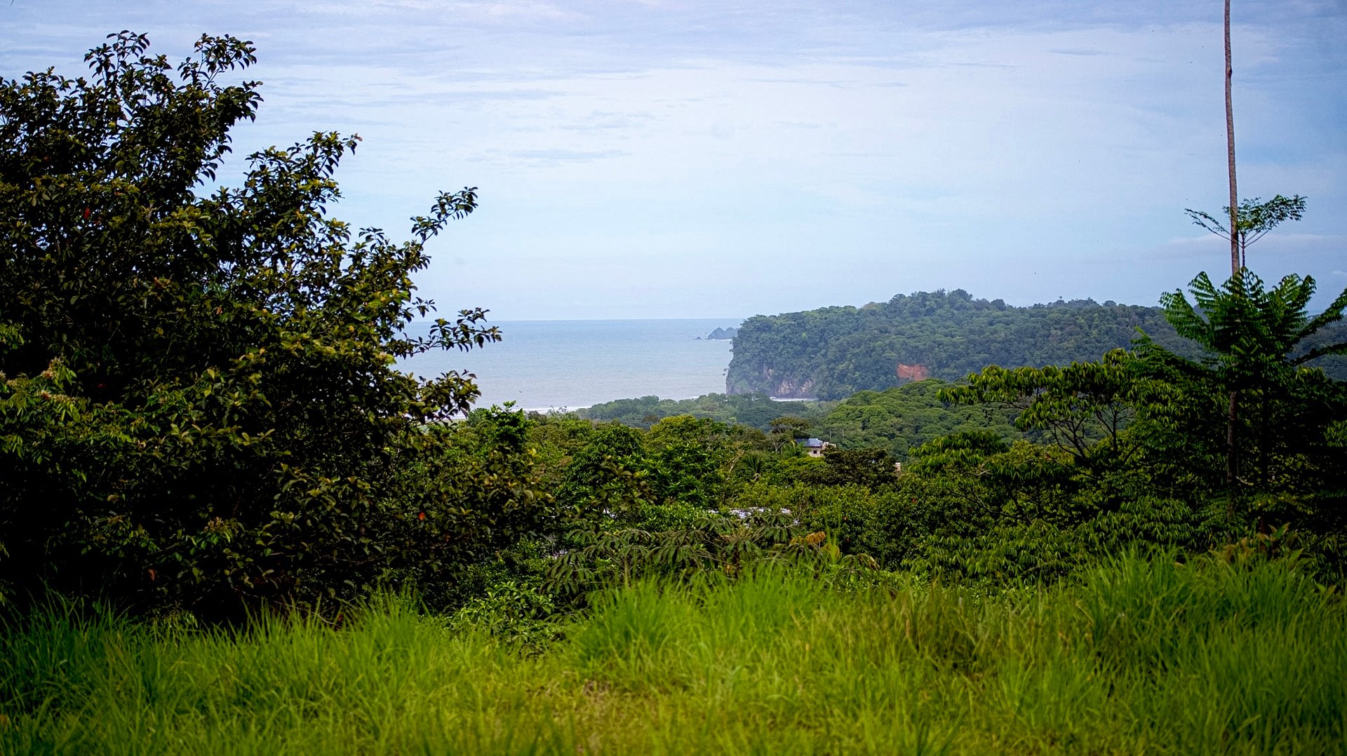 Lot in Calle Perezoso