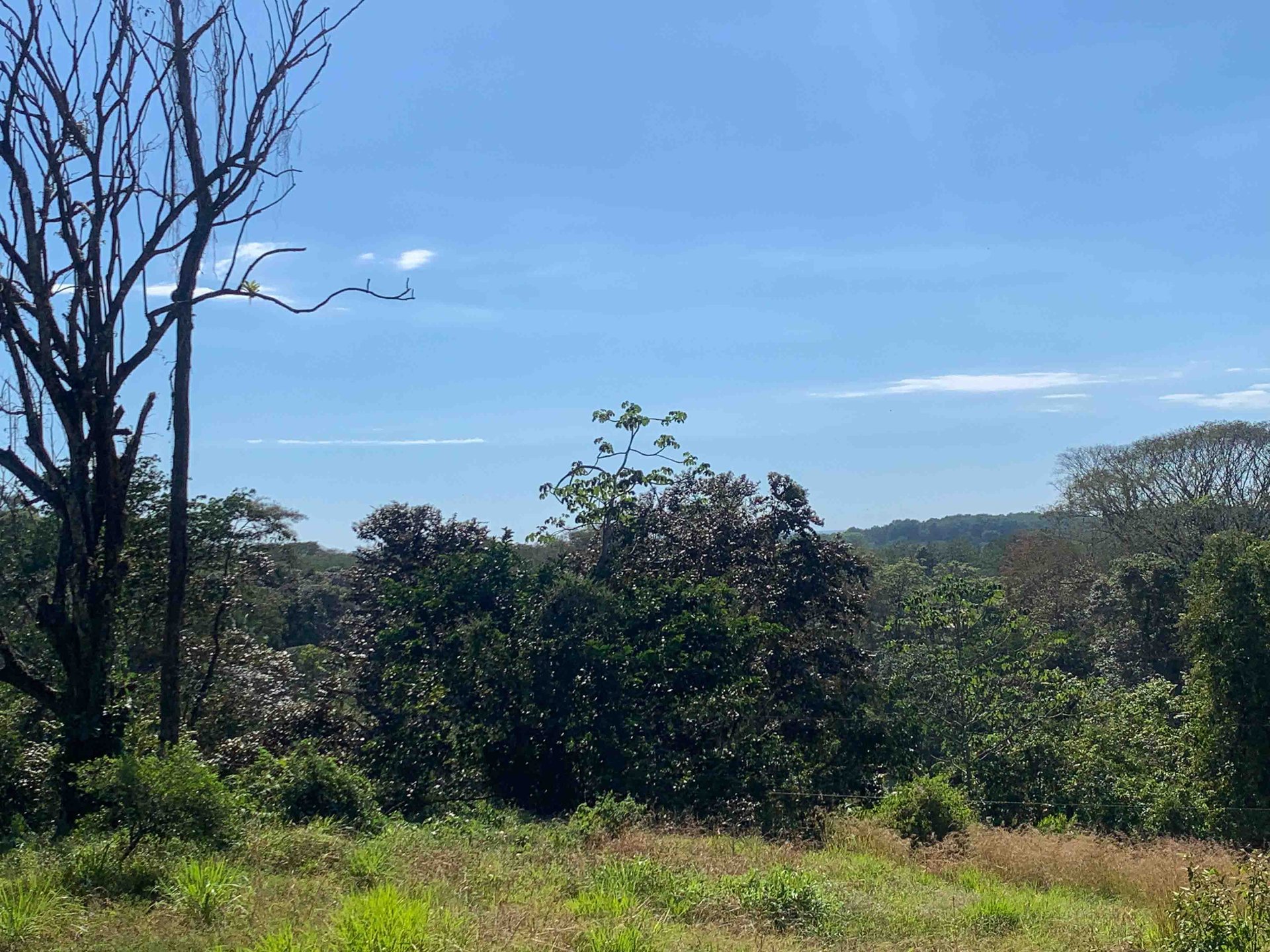 Spectacular and Affordable Property close to Dominical