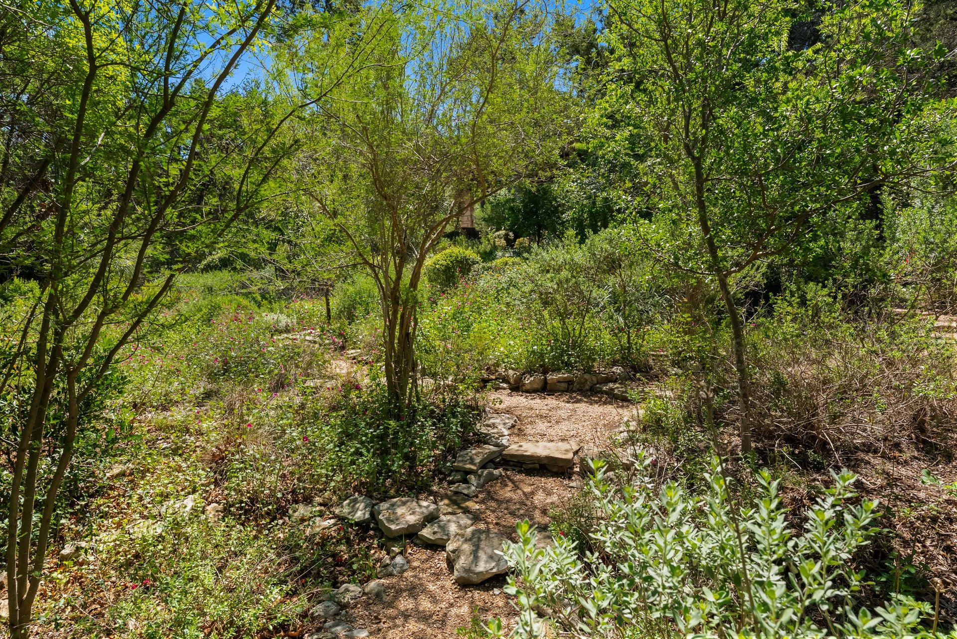 698 Windsong Trail