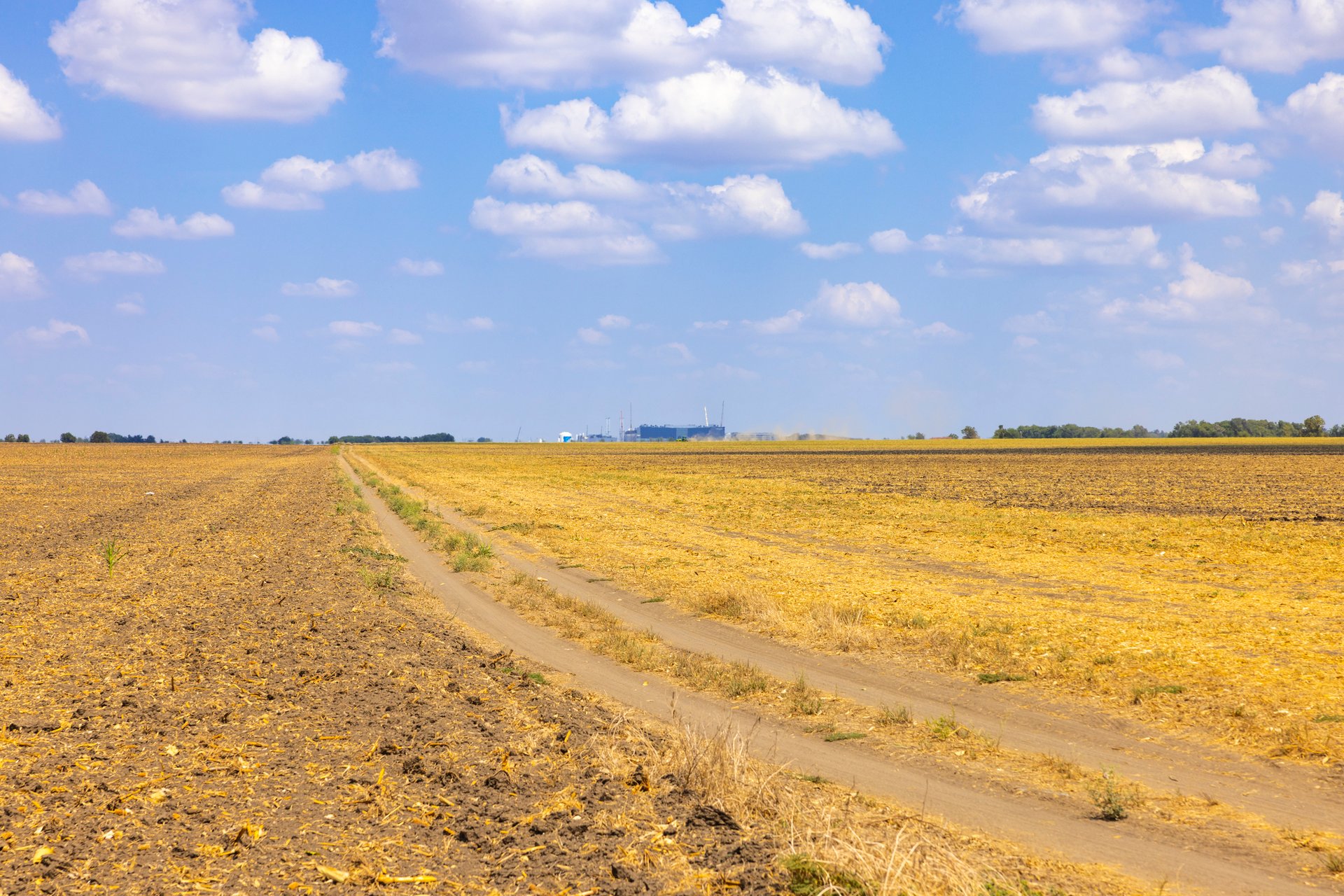 272 Acres at FM 1660 & FM 973, Just South of Samsung - Taylor, TX